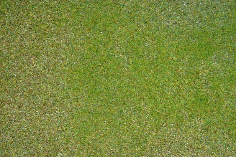 Castle Meadow Grass Mat (120 x 60 cm)