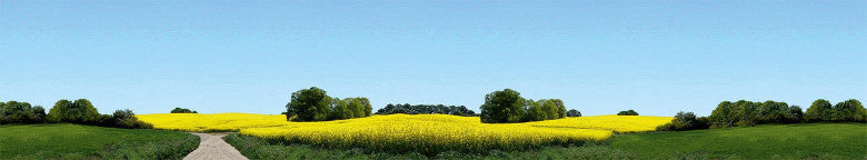 Ostholstein Model Background