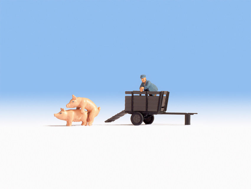 Pig Transport