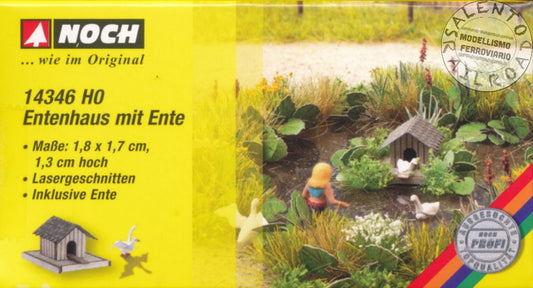 Duck House with Duck