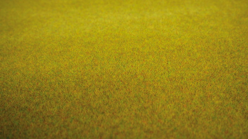 Summer Meadow Grass Mat (200 x 100 cm)