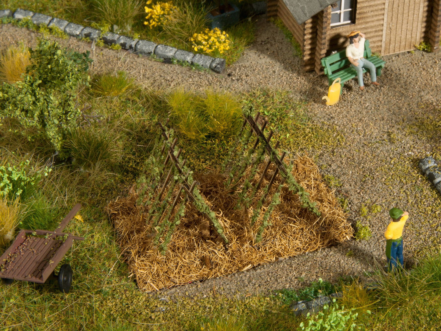 Tendrils / Beanstalks