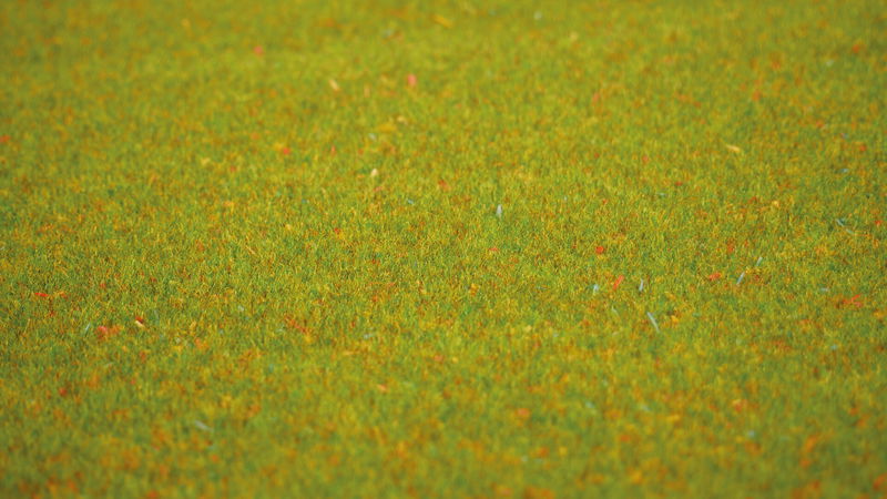 Flower Meadow Grass Mat (100 x 75 cm)