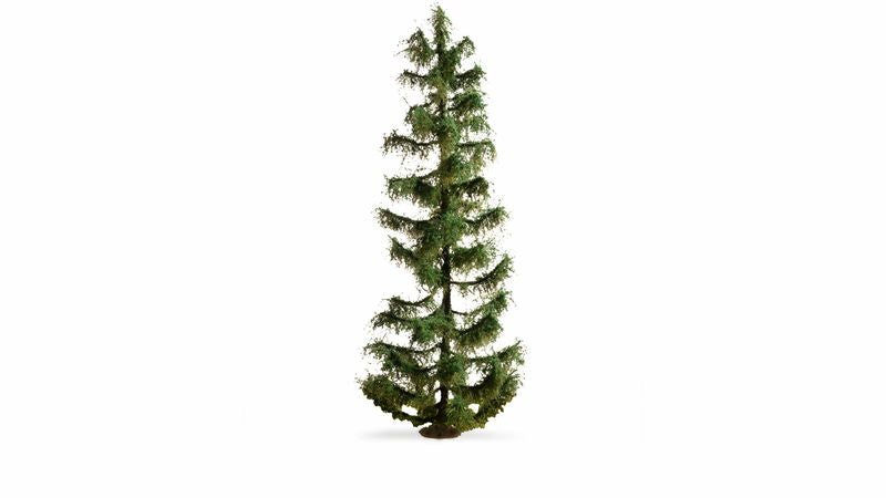 Spruce Tree (25 cm)