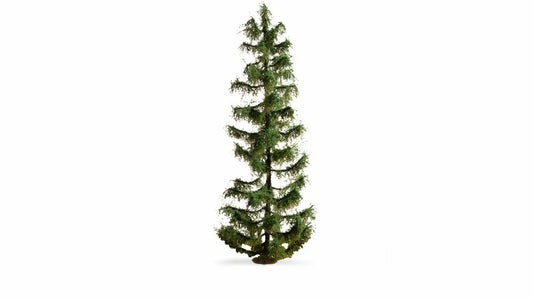 Spruce Tree (25 cm)