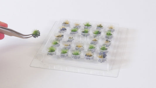 PROFI Grass Tufts "Blossoming"