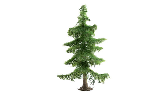 Nordic Fir Tree