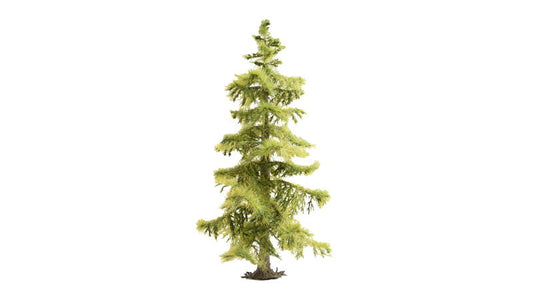 Spruce Tree (145 mm)