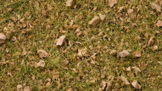 Alpine Meadow Master Grass Blend