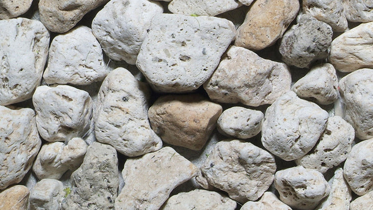 Rocks