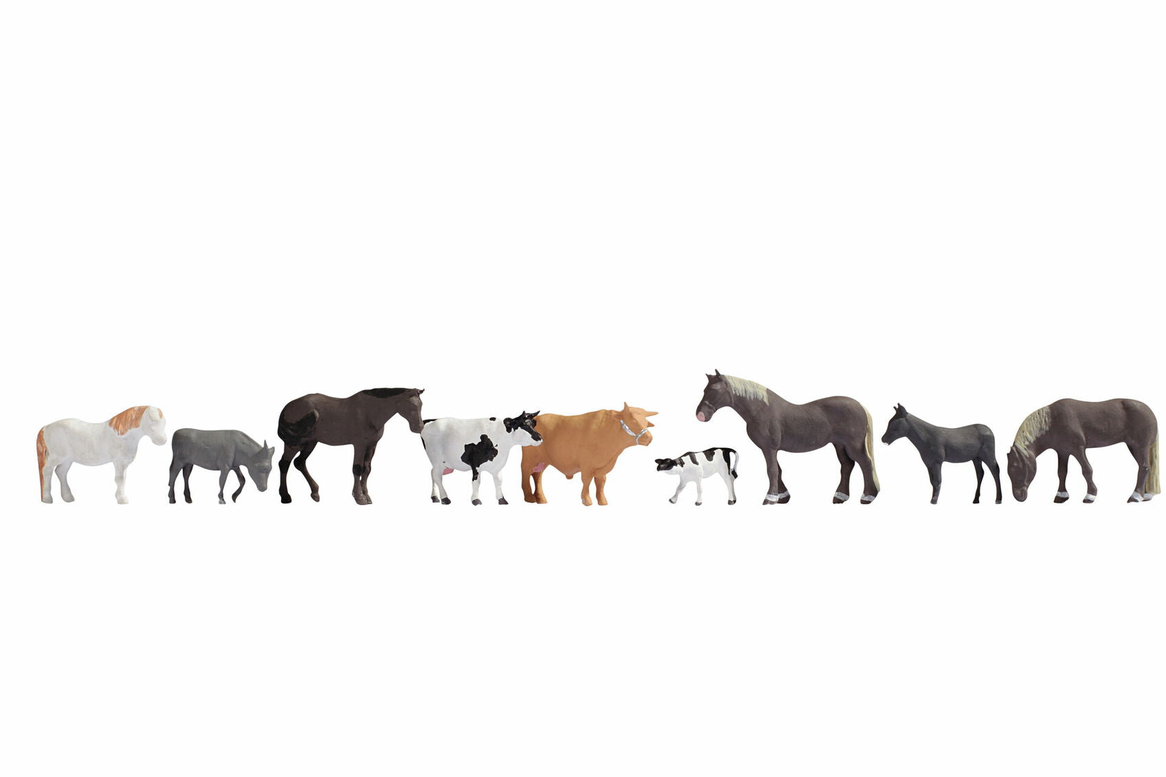Animals – Westend Trains