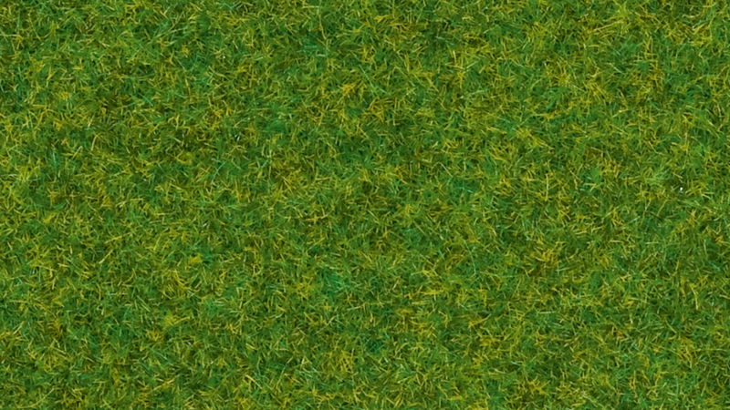 Grass