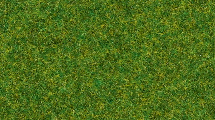 Grass