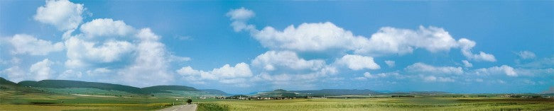 Black Forest/Baar Model Background