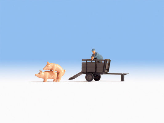 Pig Transport