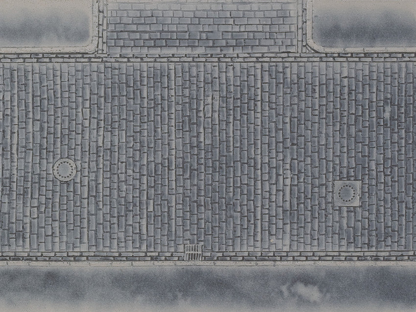 Cobble Road with Junction