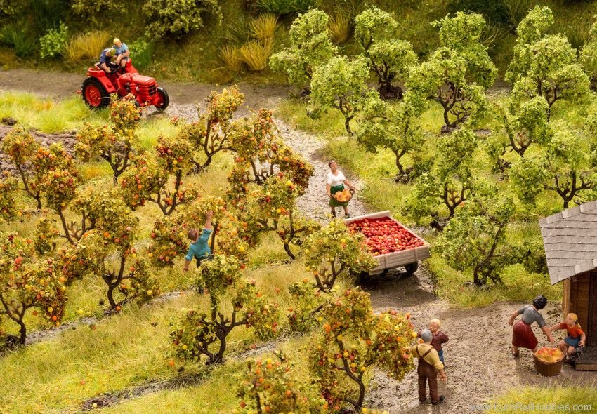 Plantation Trees with Apples