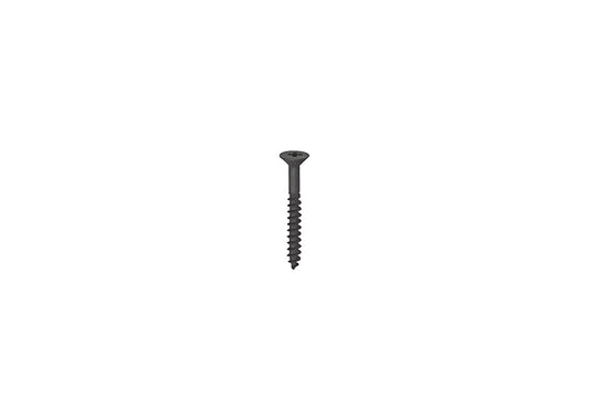 Track Screws