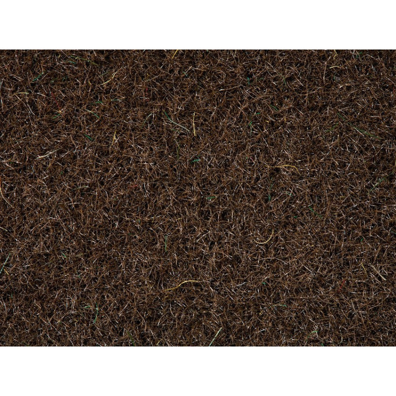 Scatter Grass Reed Meadow 20 g