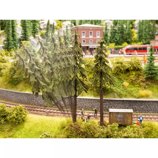 Micro-motion Falling Spruce Tree