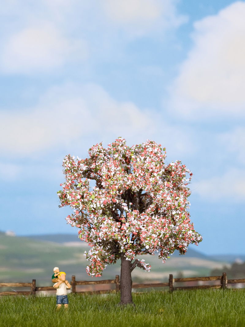 Fruit Tree, Blossoming