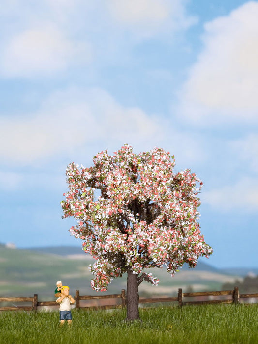 Fruit Tree, Blossoming