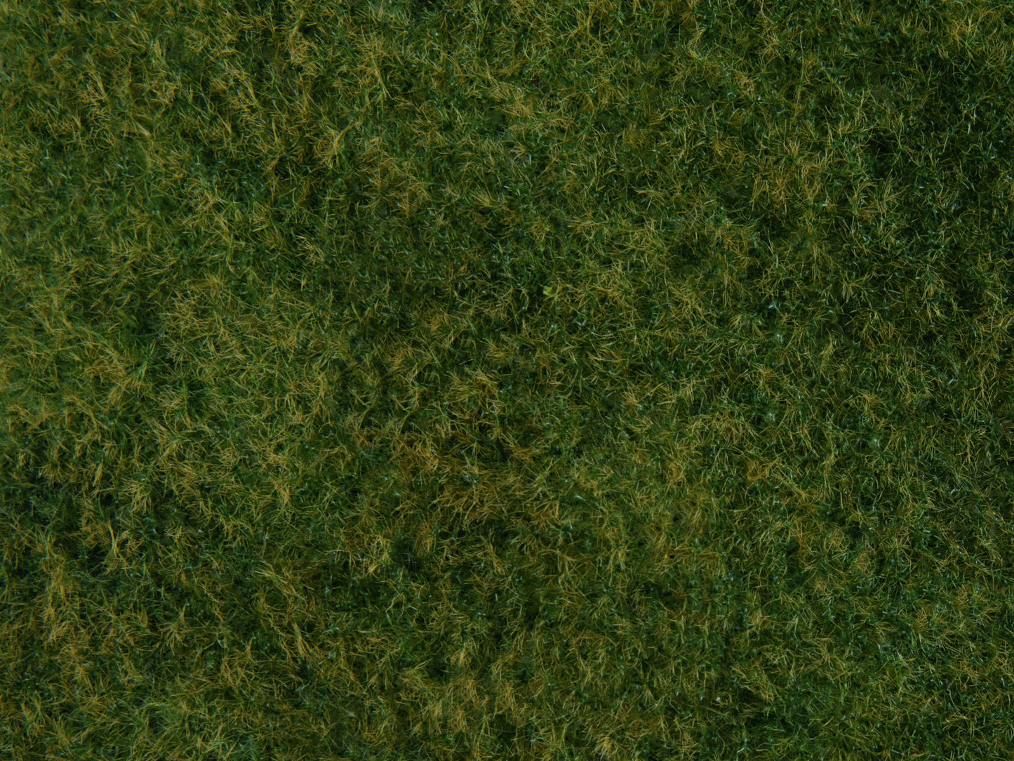 Wild Grass Foliage, Light Green, 20 x 23 cm