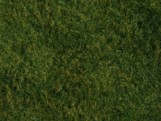 Wild Grass Foliage, Light Green, 20 x 23 cm