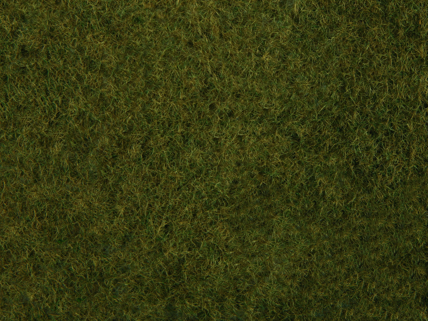 Wild Grass Foliage, Olive Green, 20 x 23 cm