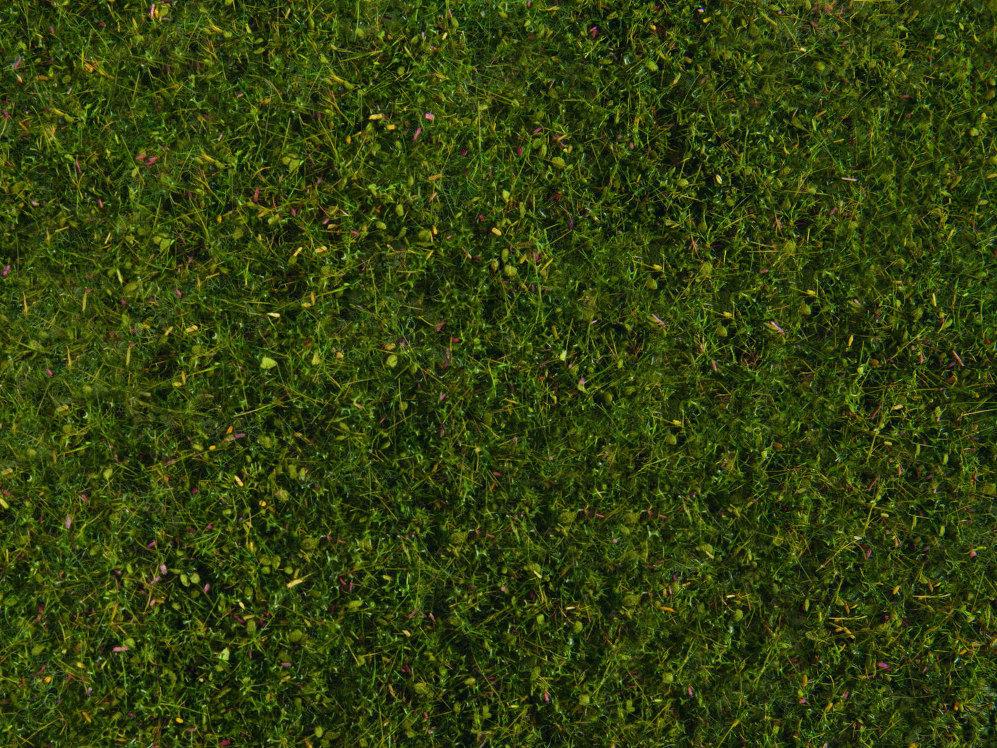 Meadow Foliage, Medium Green