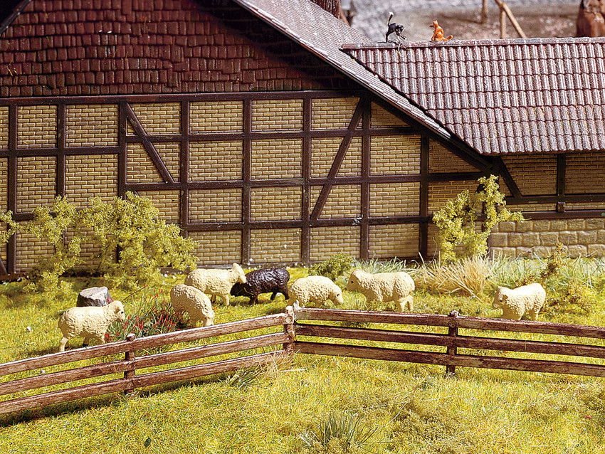 Pasture Fence