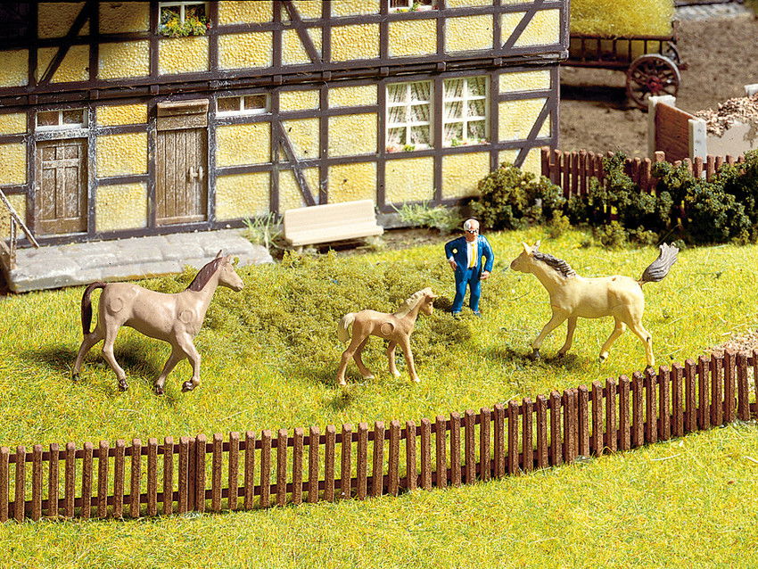Garden Fence