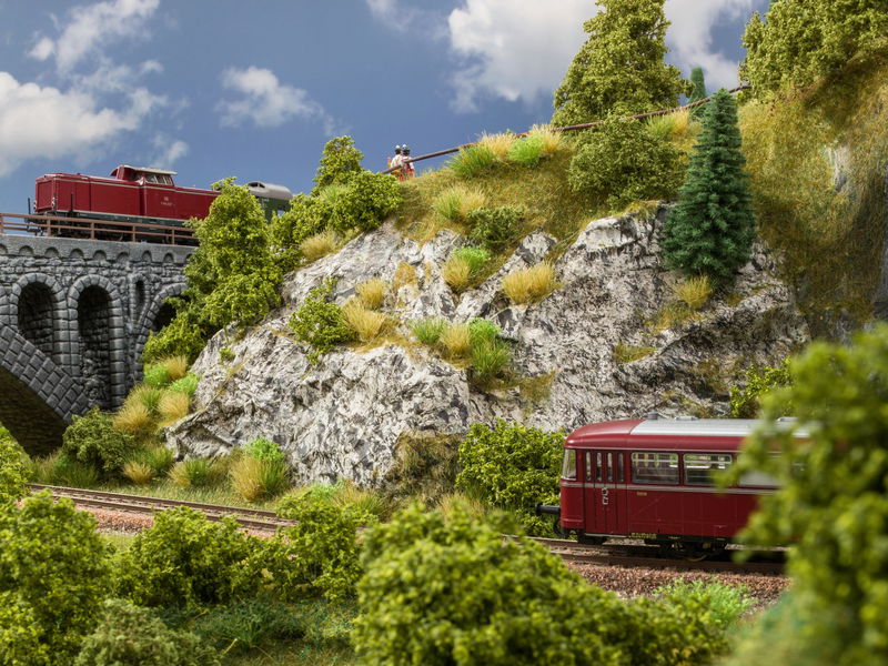 Wrinkle Rocks "Seiser Alm"