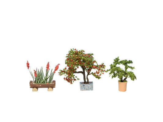 Ornamental Plants in Tubs
