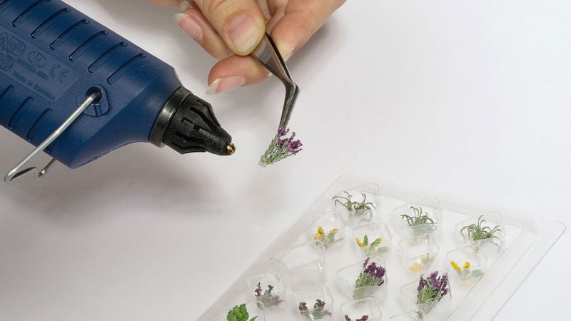 Water and Riverside Plants