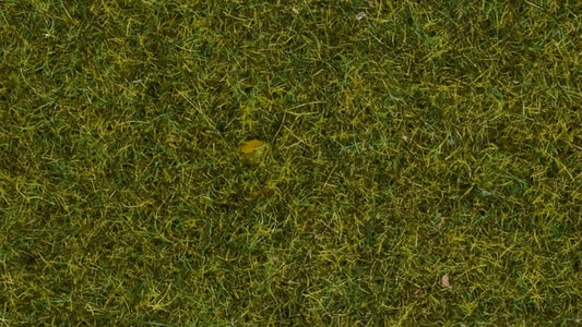 Scatter Grass, Meadow 20 g