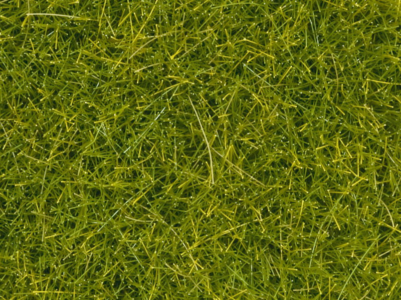 Scatter Grass, Light Green 20 g