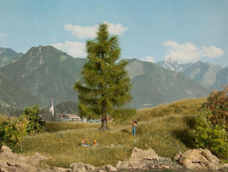 Spruce Tree (145 mm)