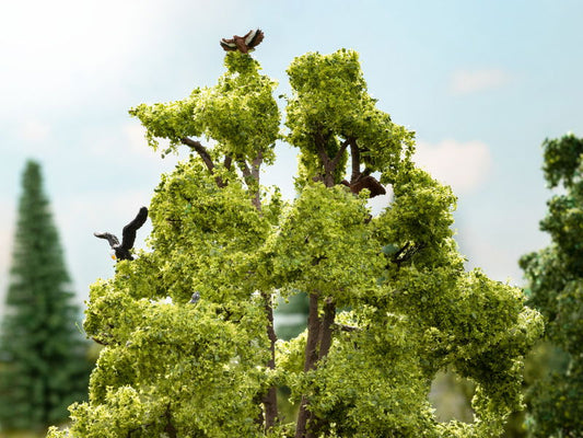 Lime Tree with Tweeting Birds