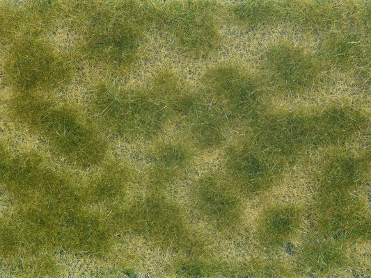 Groundcover Foliage, Green/Beige