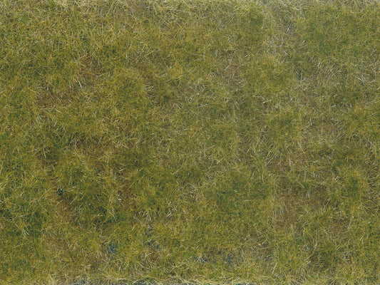 Ground cover Foliage, green/brown
