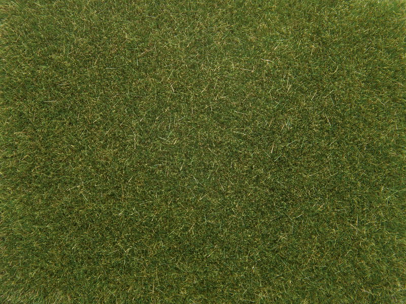 Scatter Grass, Medium Green 4 mm 20 g