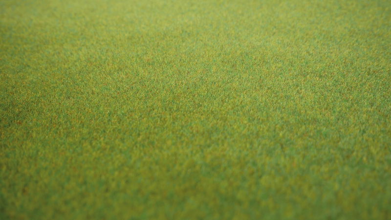 Spring Meadow Grass Mat (120 x 60 cm)