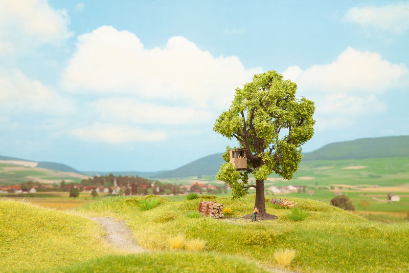 Tree with Tree House