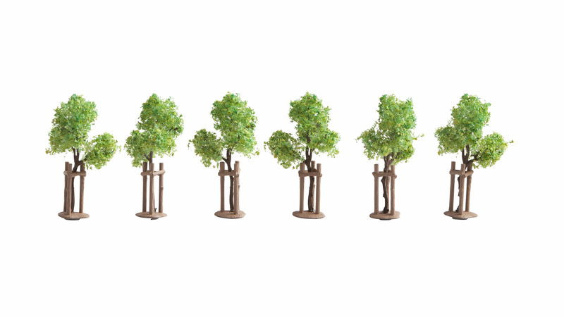Saplings with Tree Props