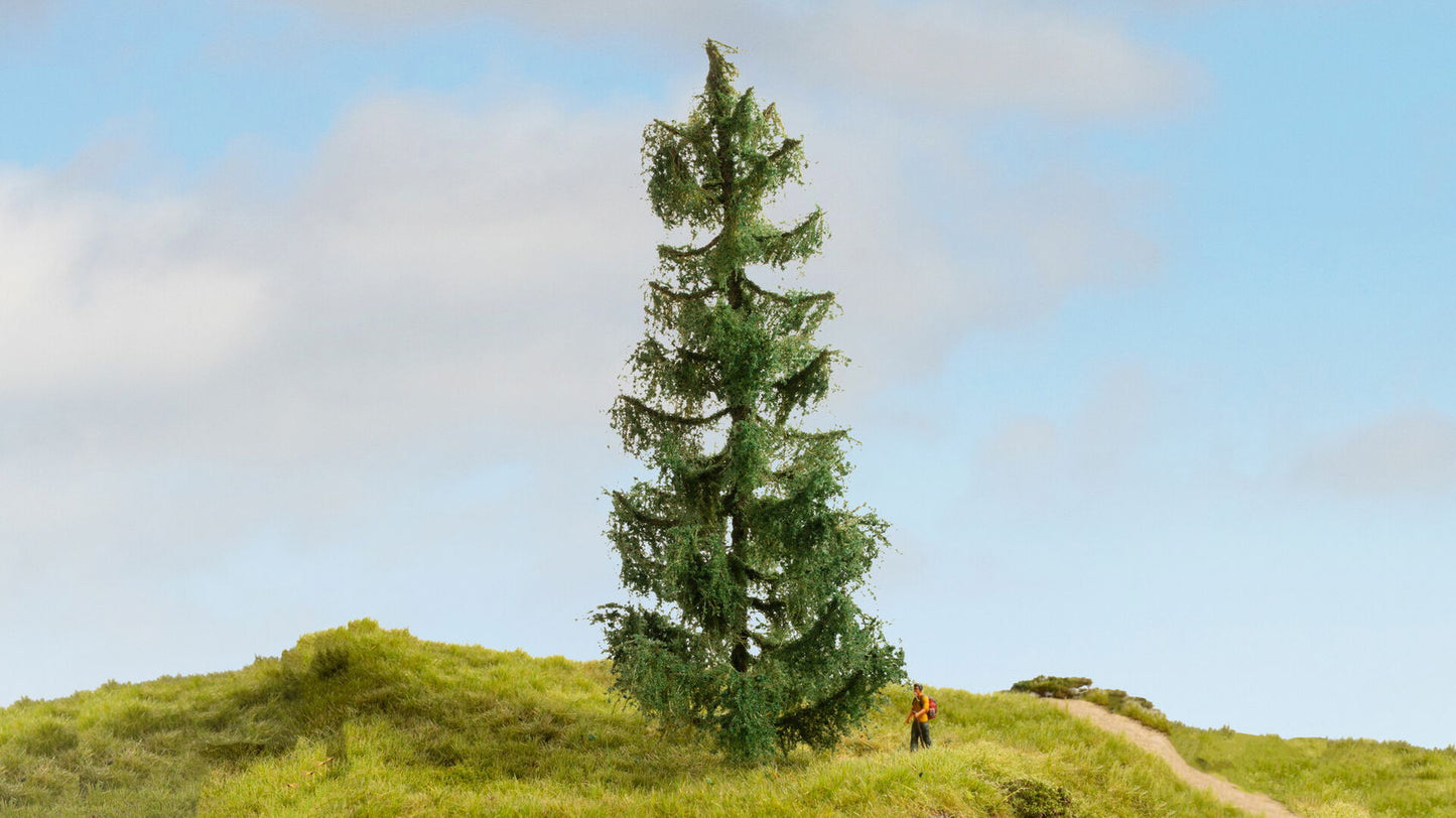 Spruce Tree (19 cm)