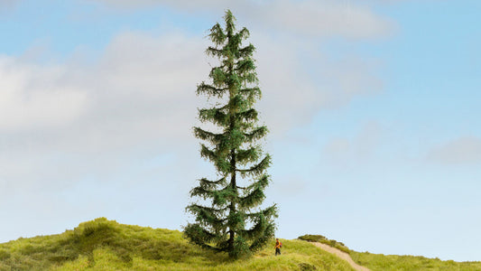 Spruce Tree (25 cm)