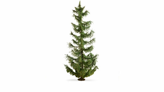 Spruce Tree (22 cm)