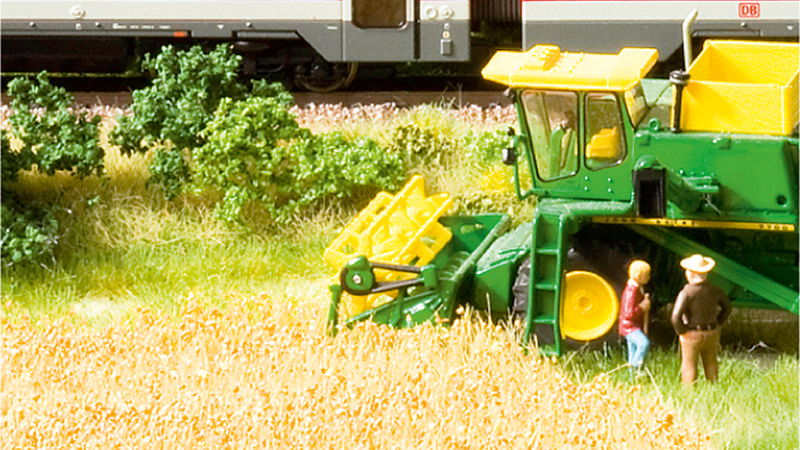 Natur+ Series Cornfield
