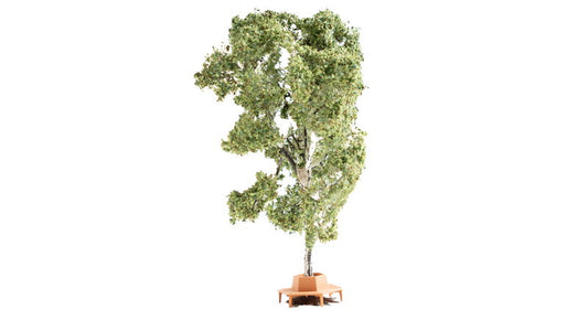 Tree with Circular Bench